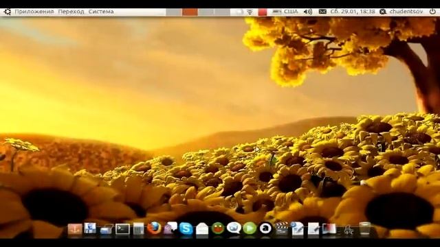 ubuntu_10_10_with_asus_eee_pc_1005_hag смотреть онлайн