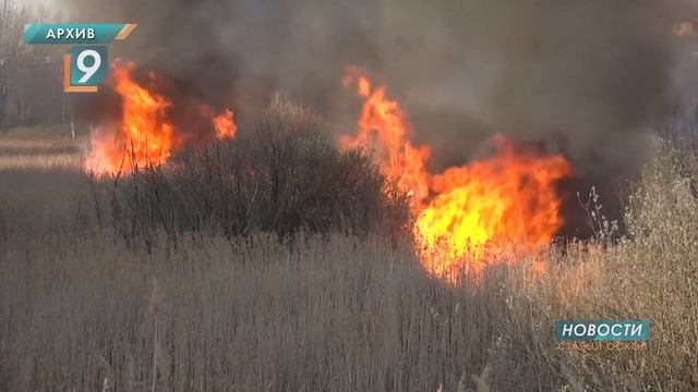 В Белгородской области продлен особый противопожарный режим смотреть онлайн