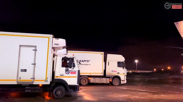 Обработка крупной партии вакцины "Спутник V" в АО "Шереметьево-Карго" смотреть онлайн