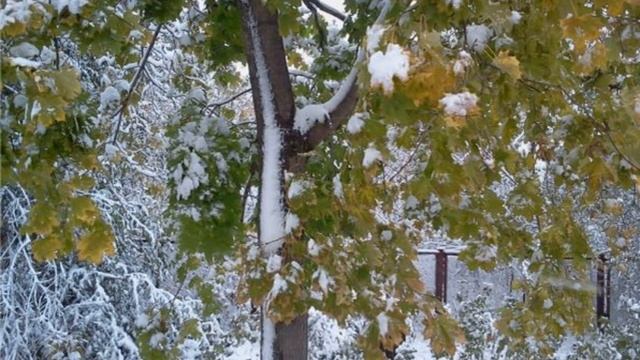 Районная библиотека. Видеоролик «Я в песне отзовусь…» смотреть онлайн