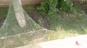 Самый маленький бредень с мотнёй.