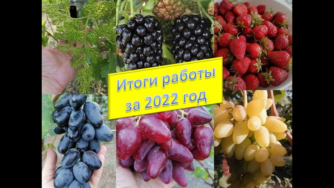 Год работы в одном видео. Сезон 2022 закрыт!!! смотреть онлайн