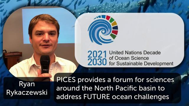 PICES - North Pacific Marine Science Organization смотреть онлайн