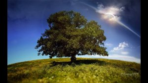 христианская песня " В суровых горах "