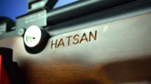 ОБЗОР Пневматическая винтовка Hatsan Flashpup QE (PCP, 6.35 мм, дерево)