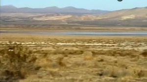 Пуля, которой выстрелили в воздух, при падении может убить?