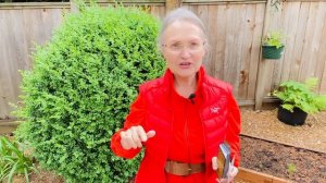 СЧАСТЛИВЫЕ События 2 последних Недель Месяца. Чего Ожидать от Судьбы? Колена Таро