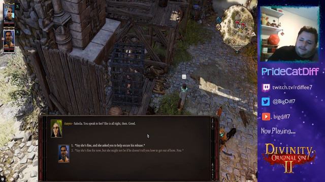 Divinity 2 Pt. 2 - I found a new meow смотреть онлайн
