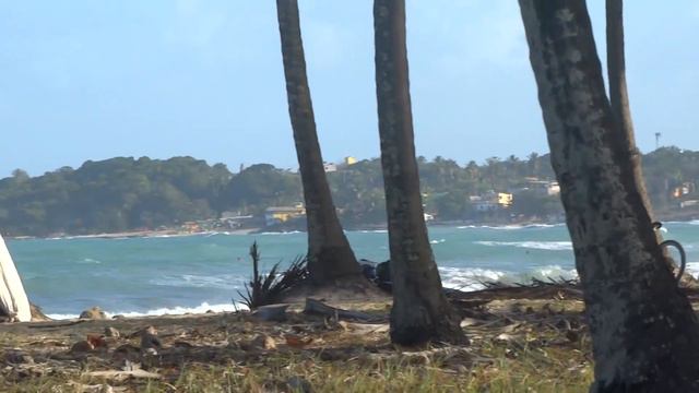 FLAVIO COSTA - FREE SURF 2015 смотреть онлайн