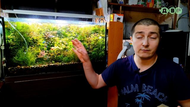 Когда менять губку фильтр! смотреть онлайн