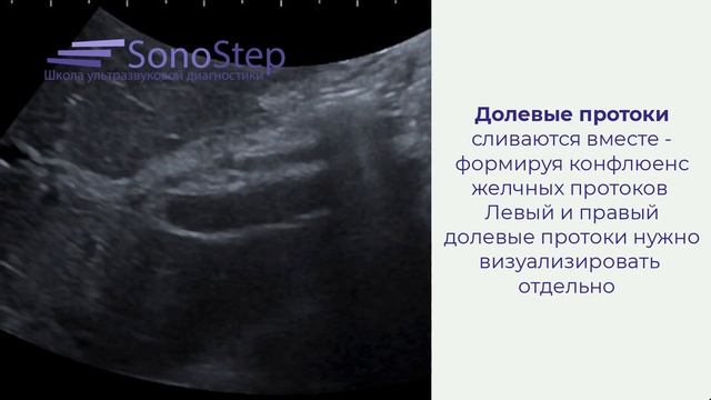 Ультразвуковая диагностика желчных протоков смотреть онлайн