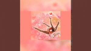 музыка для хг 136