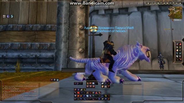 Весёлый сервер WoW 