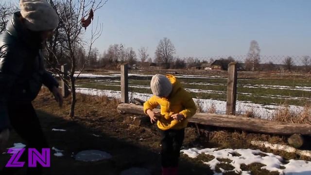 Как Зоряна корову доила. смотреть онлайн