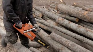 Сравнение Как Пилит: НОВИЧЁК, БЫВАЛЫЙ И ПРОФЕССИОНАЛ Husqvarna 365.