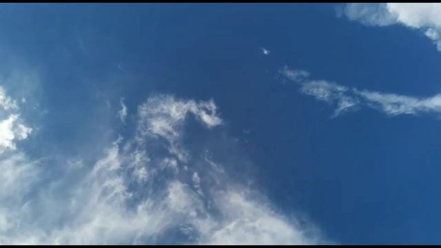 Дорогие бойные голуби лёт и игра 24 часа. Двухчубые голуби. Tauben. Pigeons. Palomas. Pombos. الحما