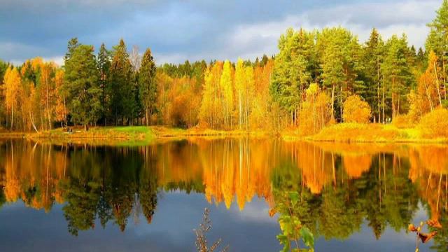 СУЛТАН ЛАГУЧЕВ - СКУЧАЕТ ОСЕНЬ смотреть онлайн