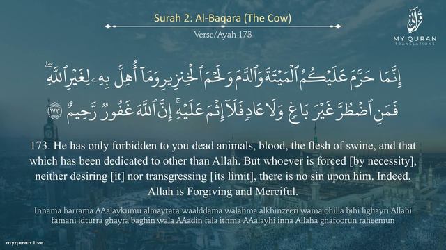 002 Surah Al Baqara البقرة   With English Translation By Mufti Ismail Menk