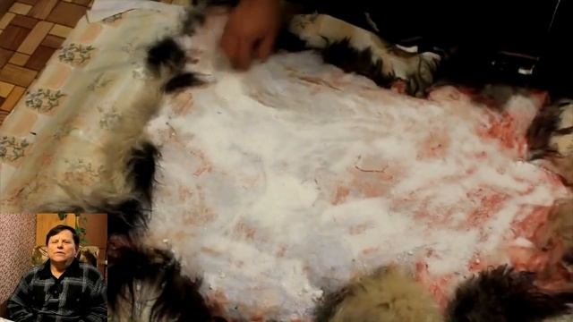 Как выделать свежую шкуру. Заморозка шкур. смотреть онлайн