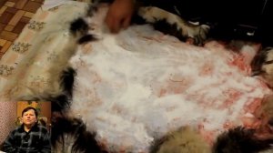 Как выделать свежую шкуру. Заморозка шкур.