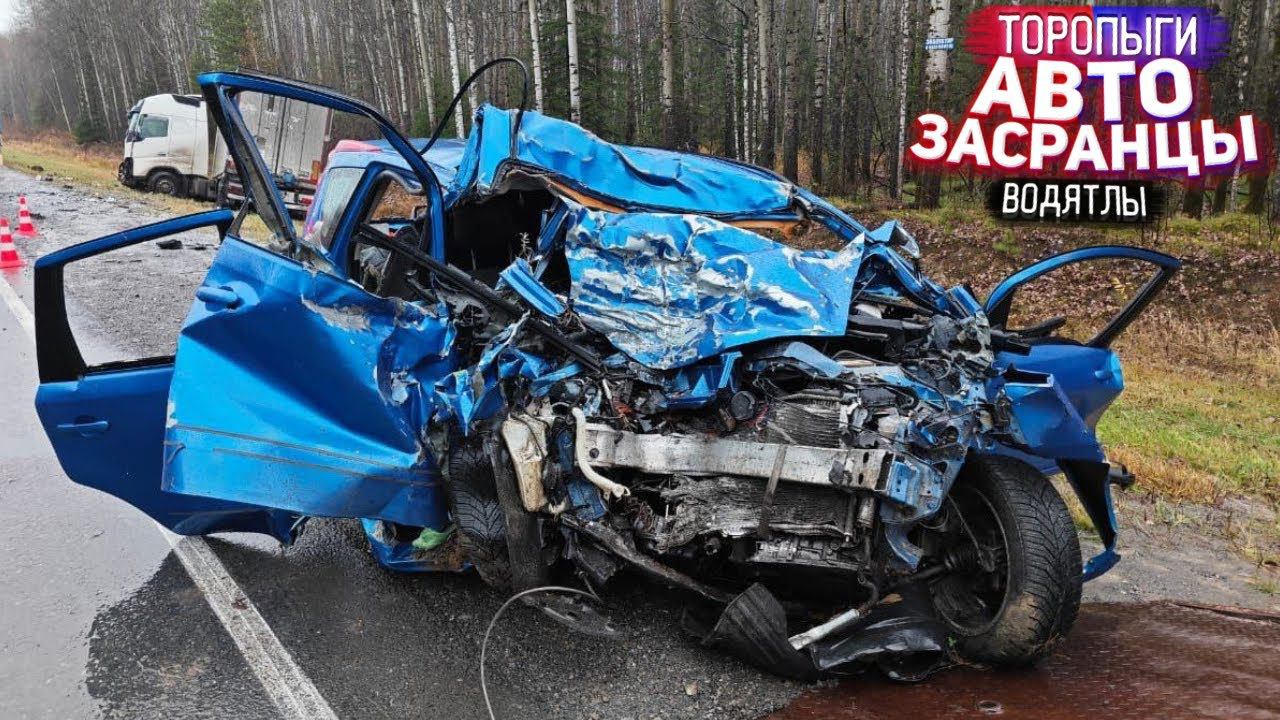 Зая Дыши, Дыши! Торопыги и Водятлы смотреть онлайн