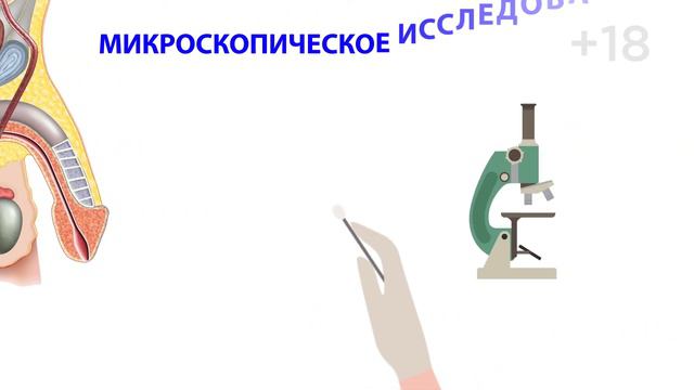 Экспресс диагностика ИППП от 20 минут смотреть онлайн