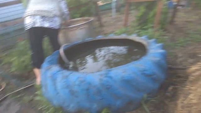 Данилино видио о бабином огороде смотреть онлайн
