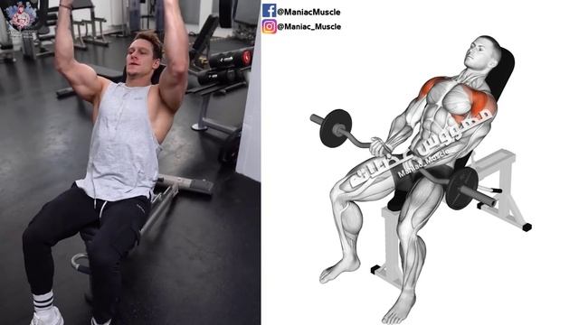 How To Build Your Shoulder Fast (6 Effective Exercises)-تمارين الكتف смотреть онлайн