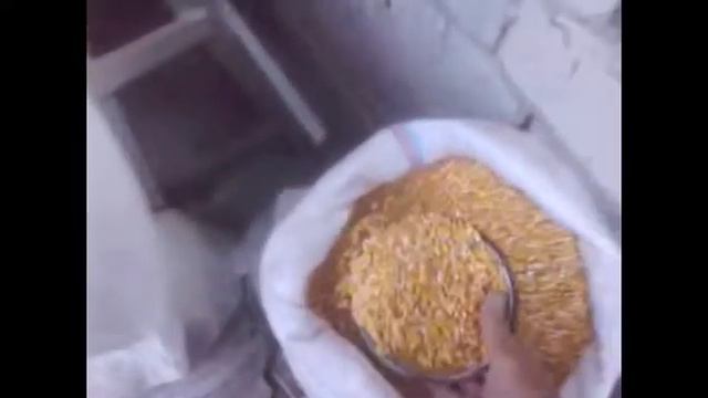 корм смотреть онлайн