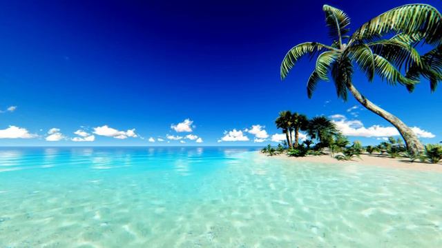 Live Wallpaper | 4K | 10 Hours | Tropical Palm Trees & Ocean View | Tropical Ambience #livewallpape
