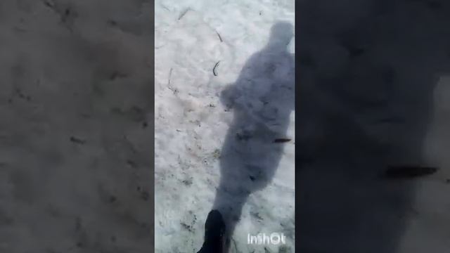 В парк прибрежный смотреть онлайн