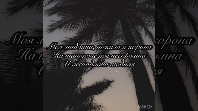 VLADIK POGOCOV-Мадонна(Текст песни) смотреть онлайн