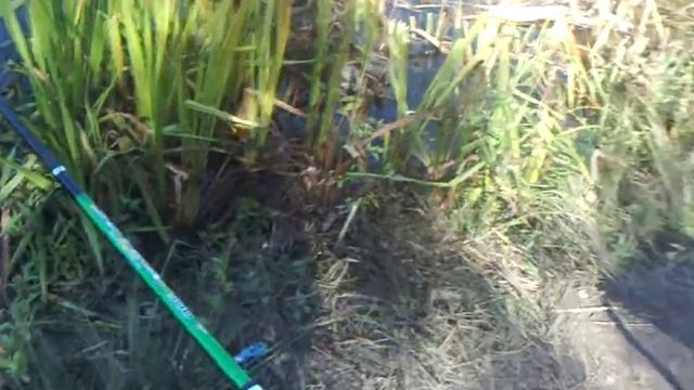 Рыбалка на реке Сура смотреть онлайн