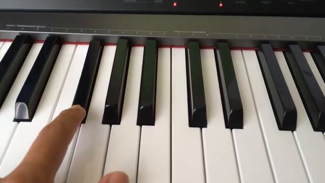 Casio Privia PX 130 громко звучит клавиша. Casio Privia PX 130 Key Loud Problem