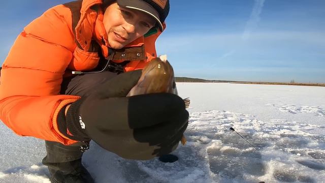 УРА! 2023-2024 сезон открыл! Ловлю на САЛО. СЖИРАЮТ НА ЛЕТУ! #первыйлёд смотреть онлайн