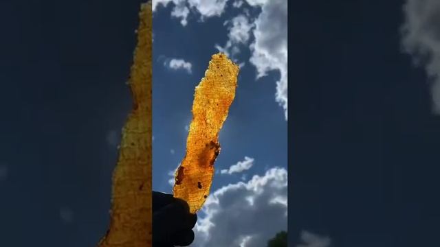 Готовим национальные блюда