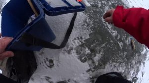 Первый лед!.помочил блесна.балансиры.первая рыбалка по твердой воде!