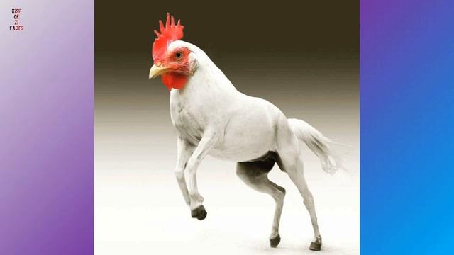 Top 10 hybrid animals that actually exist (in Photoshop). Awesome Hybrid Animals. смотреть онлайн
