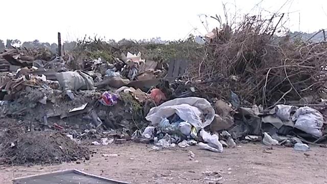 Свалка Подсинее: рекультивация смотреть онлайн