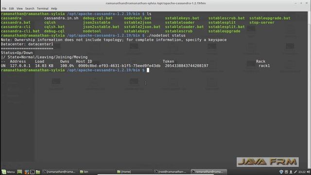 Apache Cassandra 1.2.19 Installation on Linux Mint 18.3 смотреть онлайн