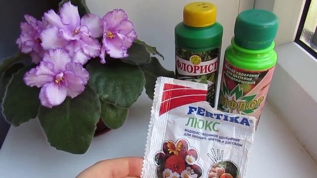 УДОБРЕНИЯ ДЛЯ ФИАЛОК!ЧЕМ ПОДКАРМЛИВАТЬ ФИАЛКИ! смотреть онлайн