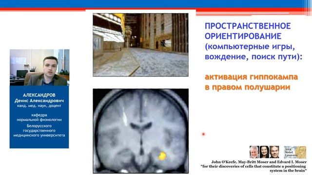 Врожденные и приобретенные формы приспособительных реакций организма. Часть 2. Память смотреть онлайн