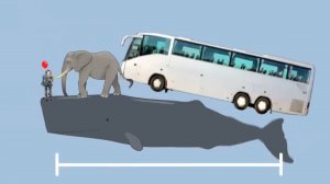 Кашалот: Очень умное бревно | Мультфильм 2D-анимация