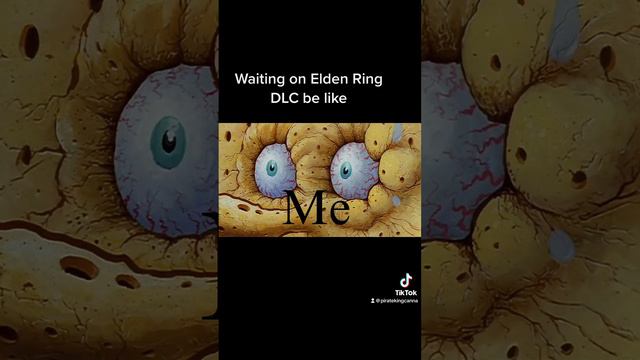 Waiting on Elden Ring DLC be like(sorry for tiktok) #memes #eldenringdlc #spongebobmemes смотреть онлайн