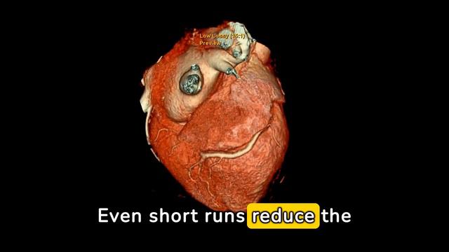 🏃♂️ Benefits of Running Every Day смотреть онлайн