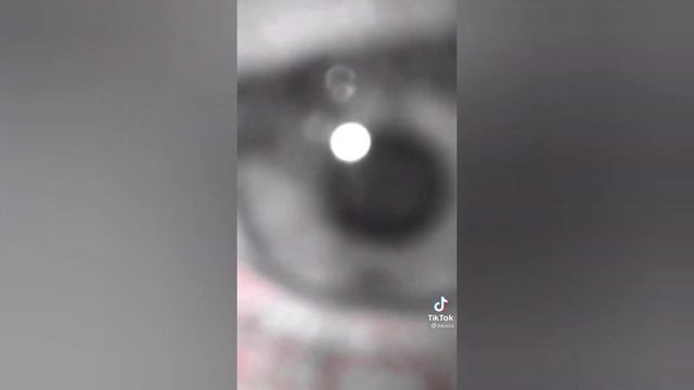 Alt Tik Tok → Тик ток лучшее смотреть онлайн