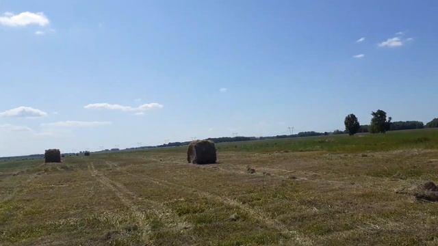 сенокос 2021 #2 смотреть онлайн