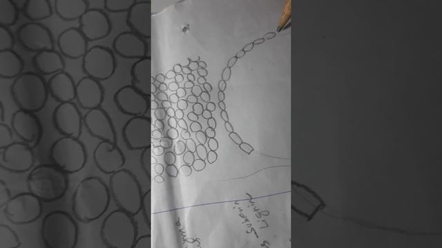 T.s of monocot root part-1 смотреть онлайн