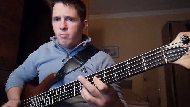 Ратмир Шишков- Не любишь (bass cover) смотреть онлайн
