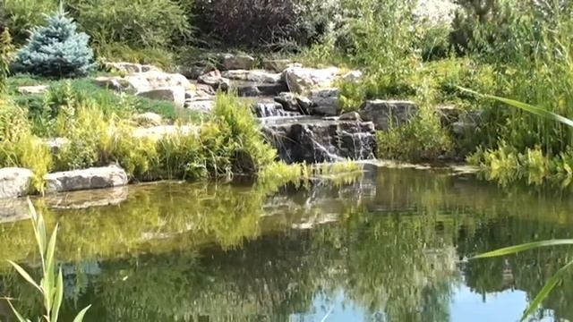 Искуственные водоемы - Ландшафтный дизайн в Саратове 2